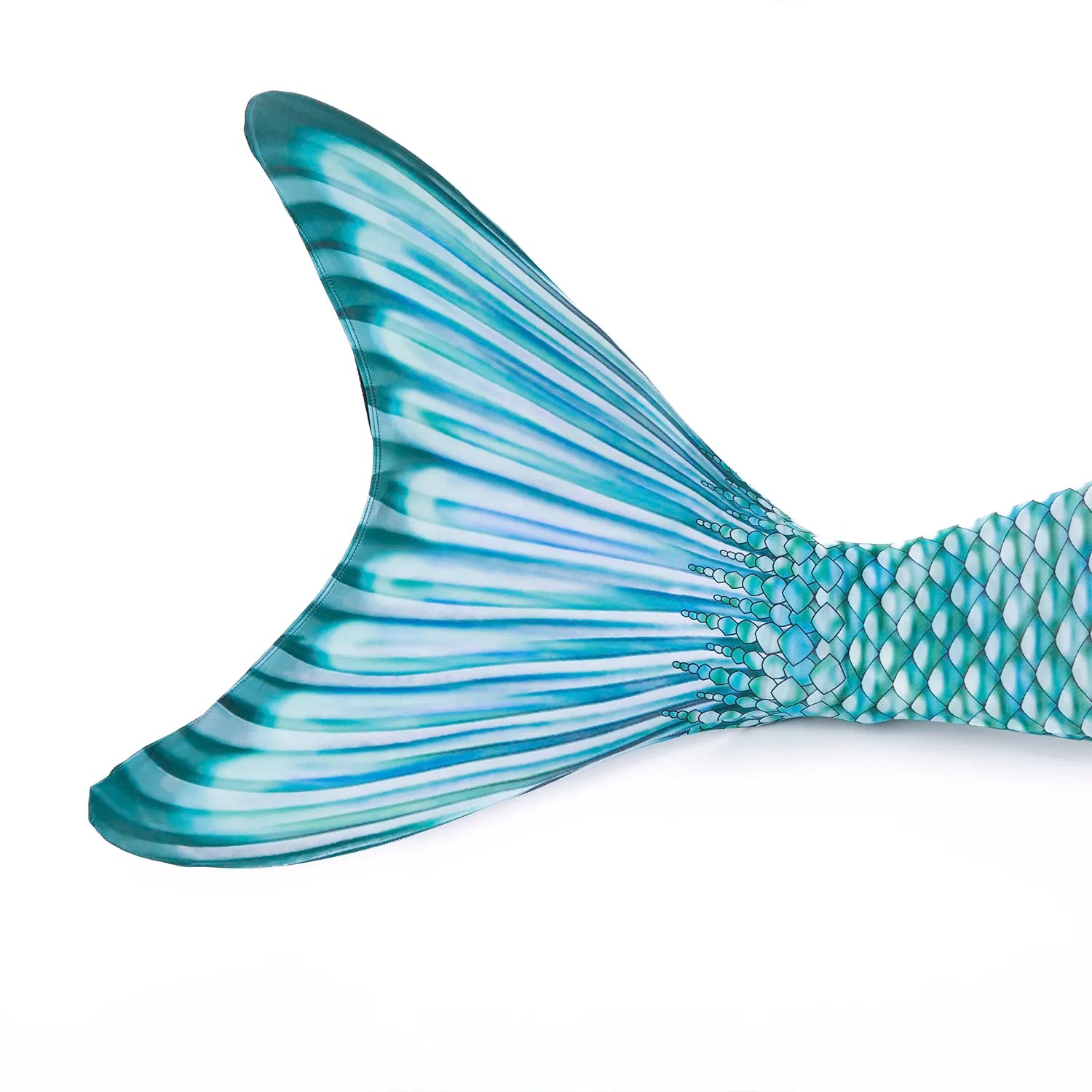 Marine mermaid tail (without monofin)